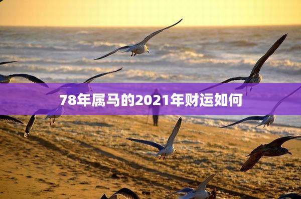78年属马的2021年财运如何