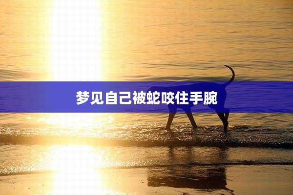 梦见自己被蛇咬住手腕