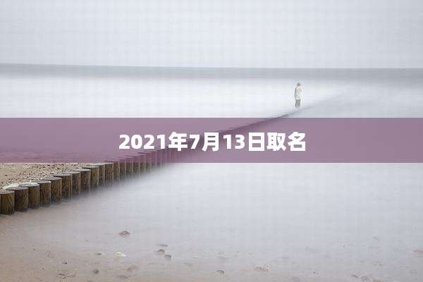 2021年7月13日取名