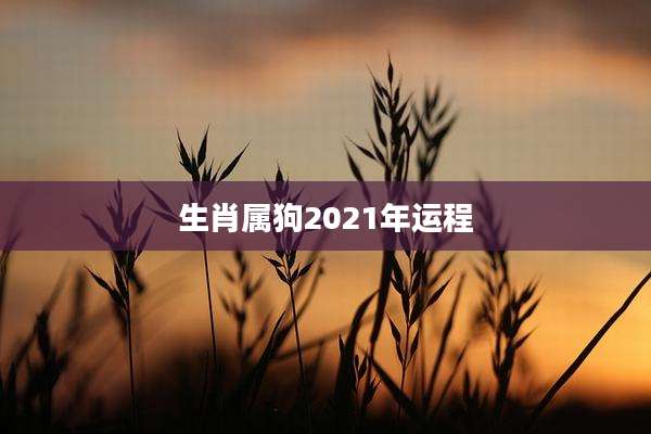 生肖属狗2021年运程