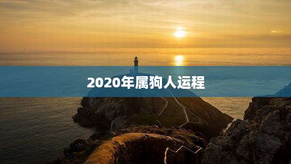2020年属狗人运程