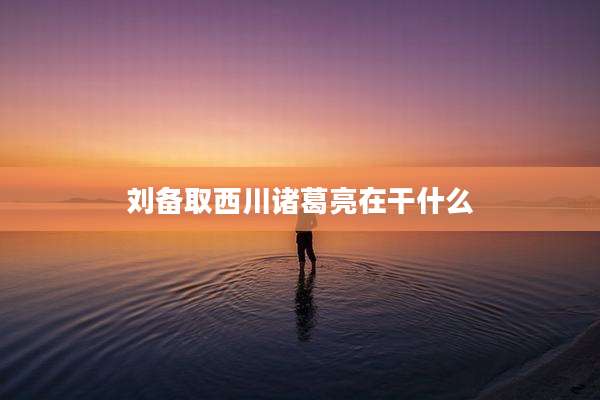 刘备取西川诸葛亮在干什么