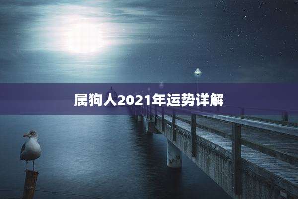 属狗人2021年运势详解