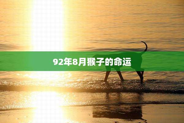 92年8月猴子的命运
