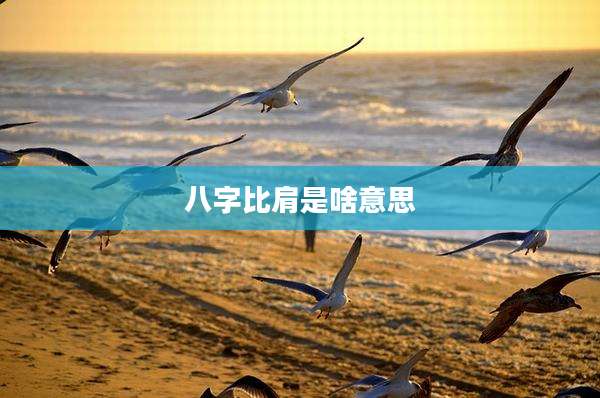 八字比肩是啥意思