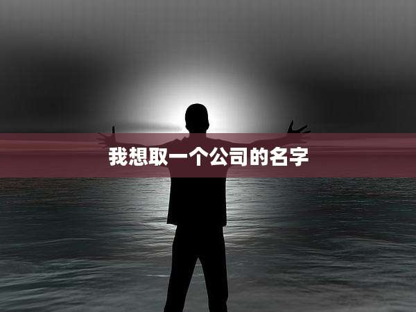 我想取一个公司的名字