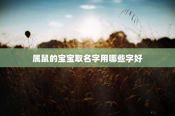 属鼠的宝宝取名字用哪些字好
