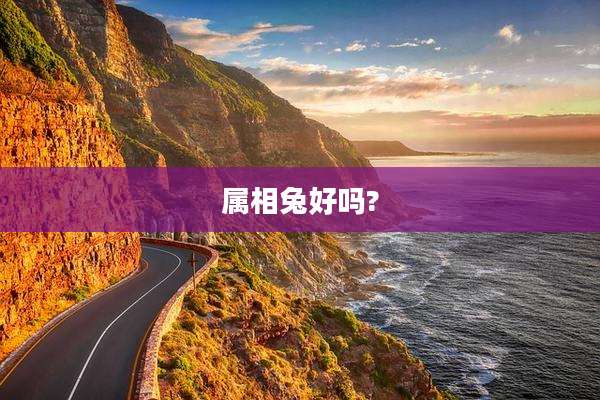 属相兔好吗?