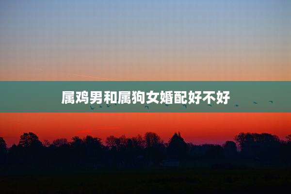属鸡男和属狗女婚配好不好