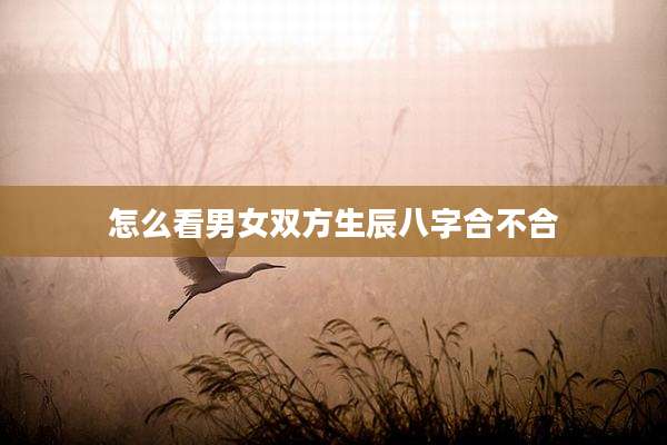 怎么看男女双方生辰八字合不合