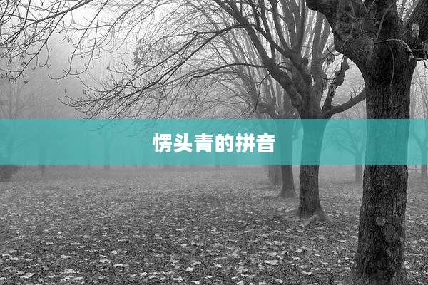 愣头青的拼音