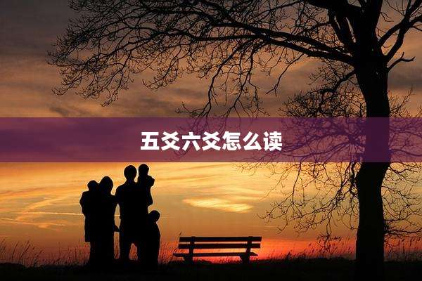 五爻六爻怎么读