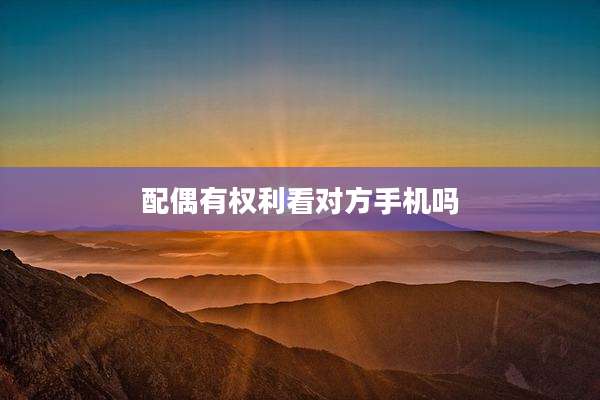 配偶有权利看对方手机吗
