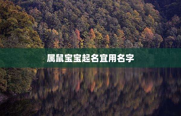 属鼠宝宝起名宜用名字