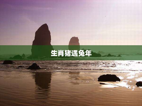 生肖猪遇兔年
