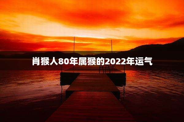 肖猴人80年属猴的2022年运气