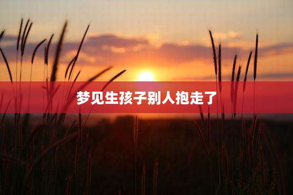 梦见生孩子别人抱走了