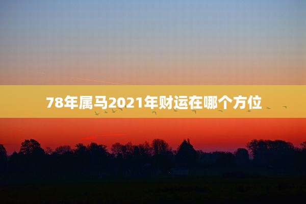 78年属马2021年财运在哪个方位