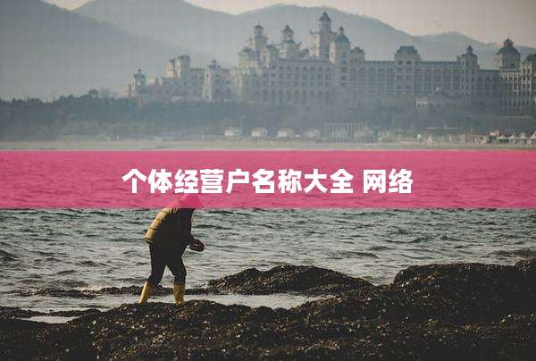 个体经营户名称大全 网络