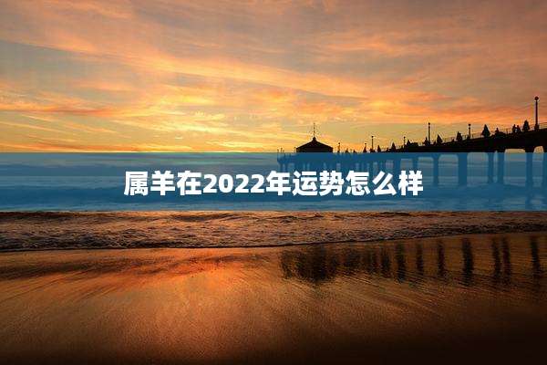 属羊在2022年运势怎么样