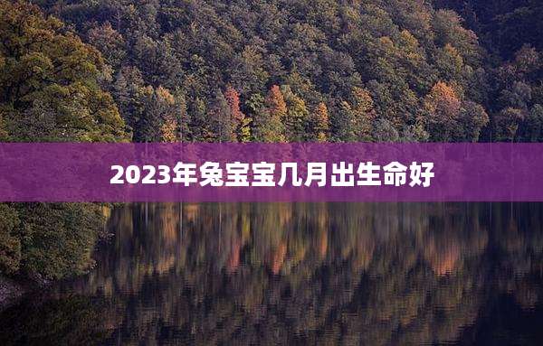 2023年兔宝宝几月出生命好