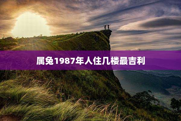 属兔1987年人住几楼最吉利