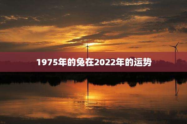 1975年的兔在2022年的运势