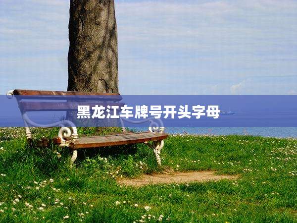 黑龙江车牌号开头字母