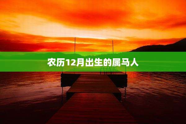 农历12月出生的属马人