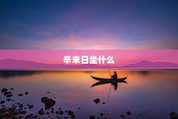 辛未日坐什么