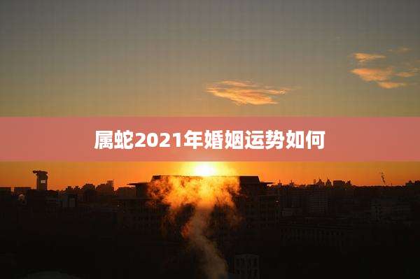 属蛇2021年婚姻运势如何