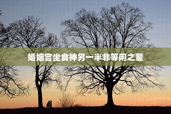 婚姻宫坐食神另一半非等闲之辈