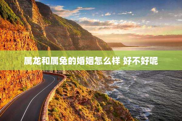 属龙和属兔的婚姻怎么样 好不好呢