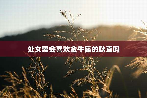 处女男会喜欢金牛座的耿直吗
