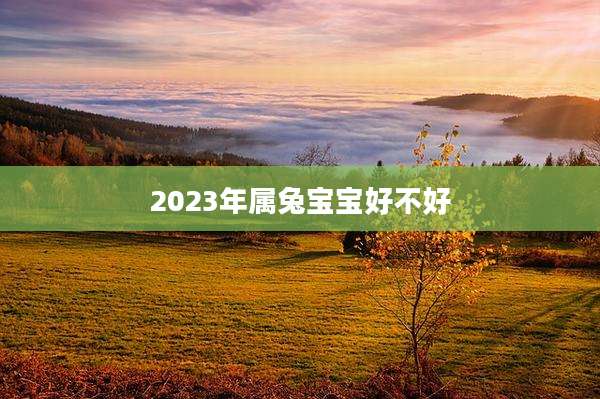2023年属兔宝宝好不好