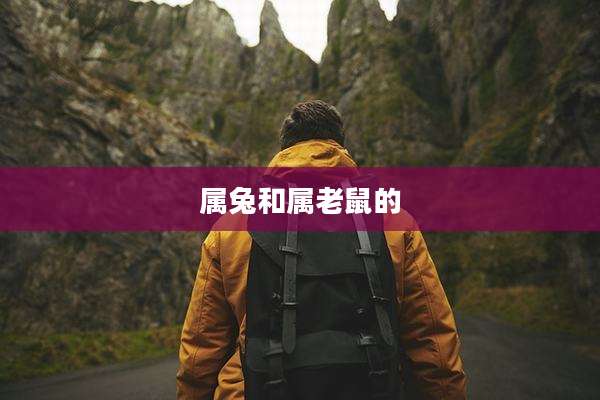 属兔和属老鼠的