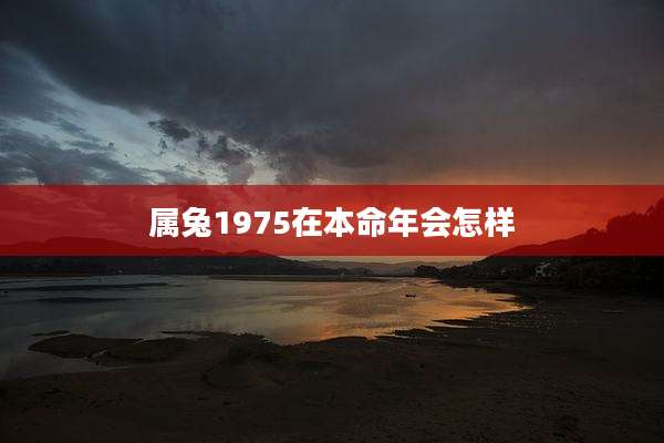 属兔1975在本命年会怎样