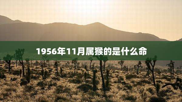 1956年11月属猴的是什么命