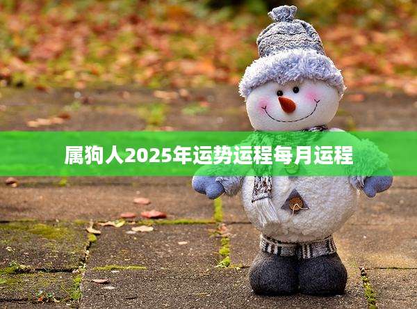 属狗人2025年运势运程每月运程