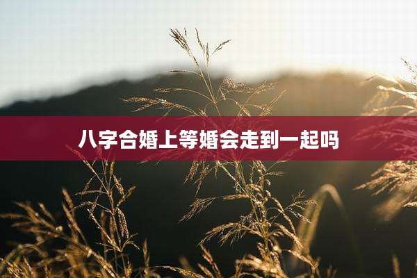 八字合婚上等婚会走到一起吗