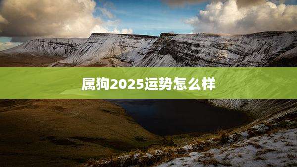 属狗2025运势怎么样