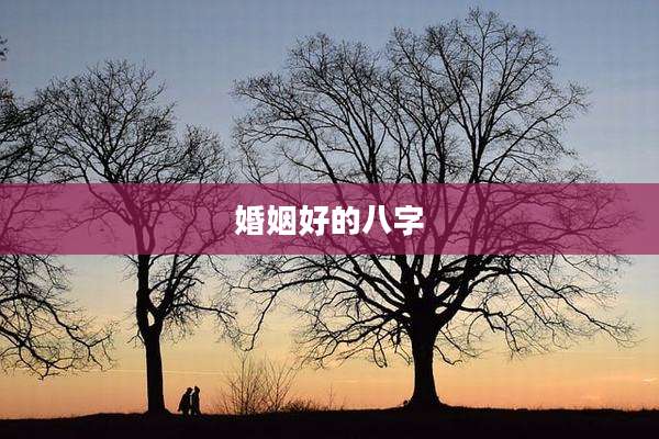婚姻好的八字