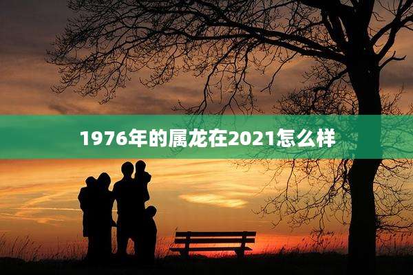 1976年的属龙在2021怎么样