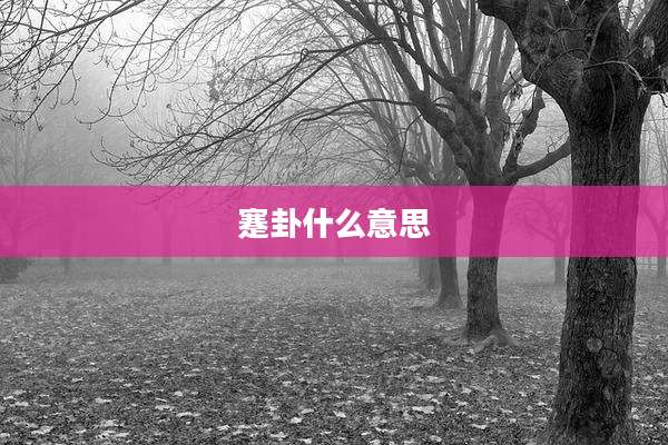蹇卦什么意思
