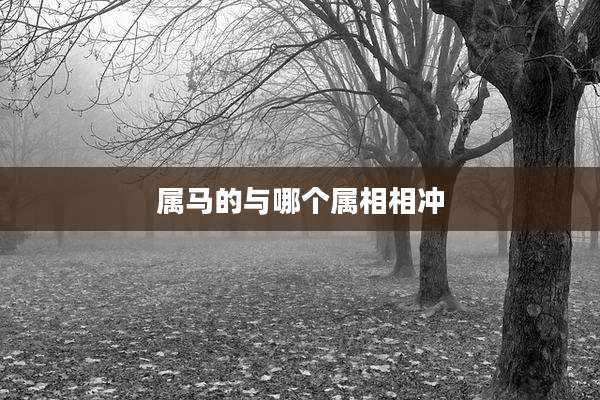 属马的与哪个属相相冲