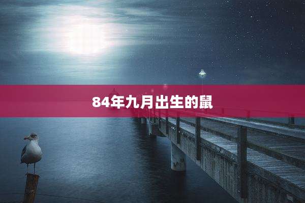 84年九月出生的鼠