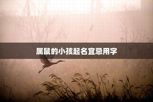 属鼠的小孩起名宜忌用字