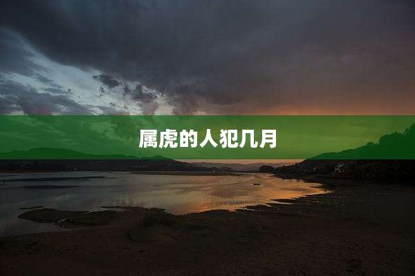 属虎的人犯几月