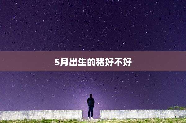5月出生的猪好不好