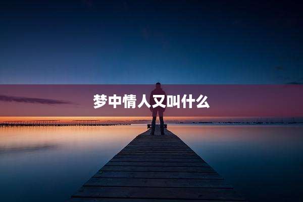 梦中情人又叫什么